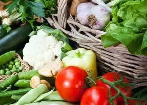 嵊州市农产品快速检测中心落成 全力守护“二师兄”及农产品质量安全