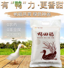 这个周末，团团带你探秘‘二师兄’农产品展销会