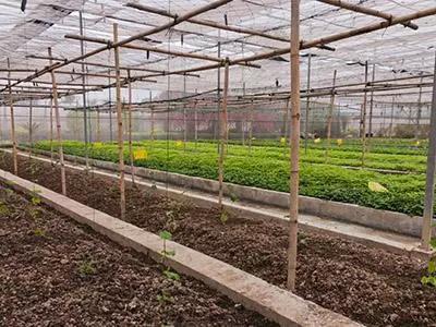三农日报 柳传志谈靠谱创业，植物工厂迎来光明，二师兄农产品未来可期