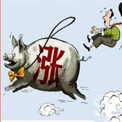 猪肉价格还在涨，三大原因你绝对想不到