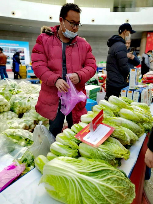 颍上年货飘香市府大厅 六十余企共展乡土丰饶