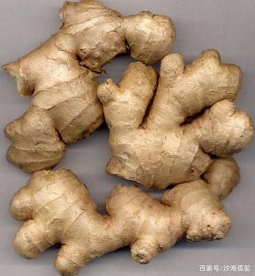 农产品价格波动与民生 从“向前葱”到“火箭蛋”的民生经济观察