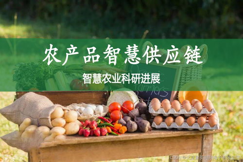智慧农业赋能下的农产品智慧供应链研究——以“二师兄”农产品为例